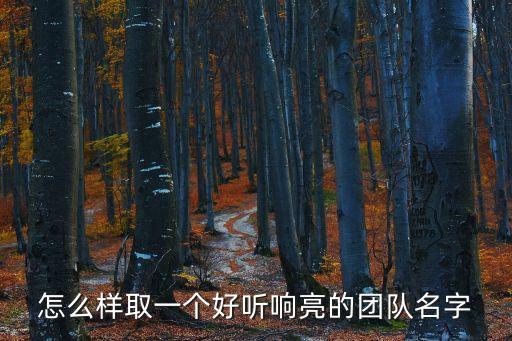 怎么樣取一個好聽響亮的團隊名字