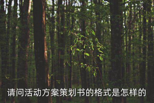 活動方案格式，活動方案的寫作格式是什么樣的最好再幫我找一份范文謝謝  搜