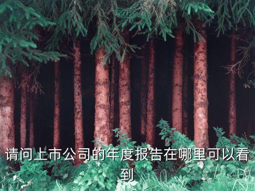 請問上市公司的年度報告在哪里可以看到