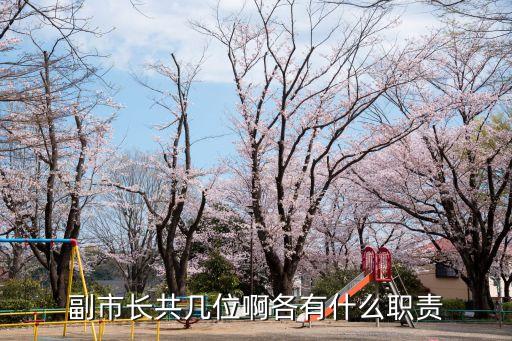 副市長共幾位啊各有什么職責
