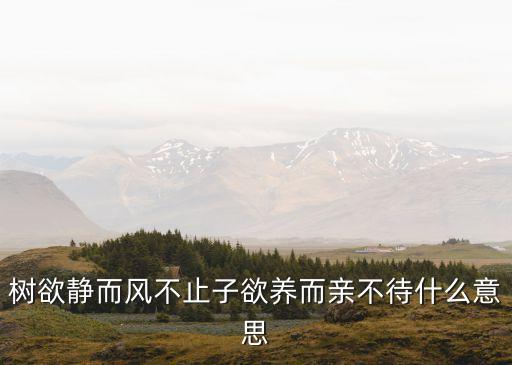 樹(shù)欲靜而風(fēng)不止子欲養(yǎng)而親不待什么意思