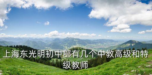 上海東光明初中部有幾個中教高級和特級教師