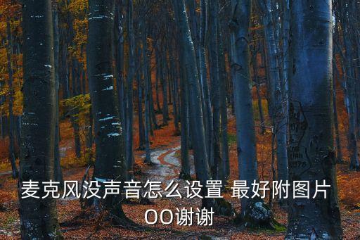 麥克風沒聲音怎么設(shè)置，麥克風沒聲音怎么設(shè)置 最好附圖片 OO謝謝