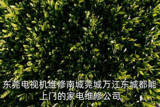 東莞東城 上門 微信，076982678424是在東莞哪個地方
