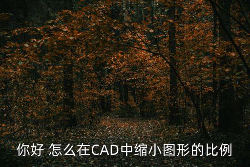你好 怎么在CAD中縮小圖形的比例