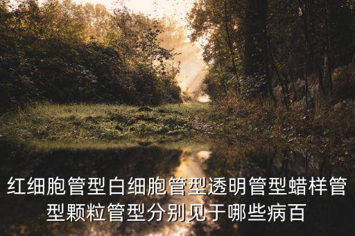 紅細胞管型白細胞管型透明管型蠟樣管型顆粒管型分別見于哪些病百