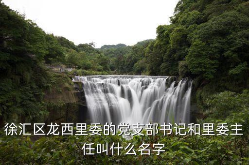 徐匯區龍西里委的黨支部書記和里委主任叫什么名字