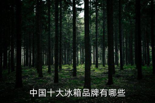 冰箱十大品牌，比較好的冰箱品牌有哪些