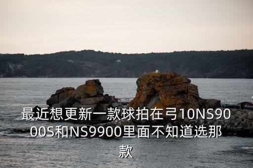 最近想更新一款球拍在弓10NS9000S和NS9900里面不知道選那款