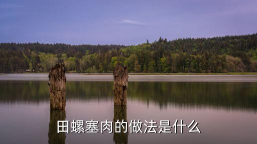 田螺塞肉的做法是什么