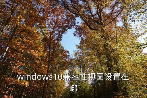 windows10兼容性視圖設(shè)置在哪