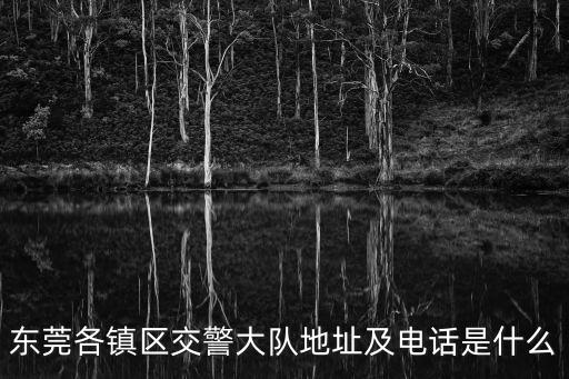 東莞各鎮區交警大隊地址及電話是什么
