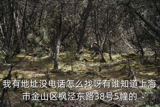 我有地址沒電話怎么找呀有誰知道上海市金山區楓涇東路38號5幢的