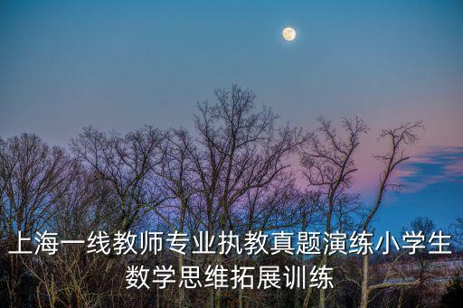 上海一線教師專業執教真題演練小學生數學思維拓展訓練