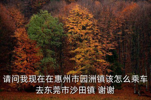 請問我現在在惠州市園洲鎮該怎么乘車去東莞市沙田鎮 謝謝
