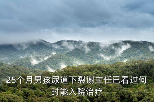 25個月男孩尿道下裂謝主任已看過何時能入院治療