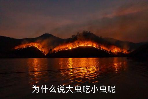 大蟲吃小蟲，為什么說大蟲吃小蟲呢