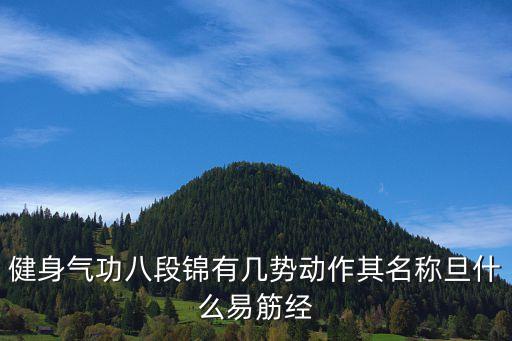 健身氣功八段錦有幾勢動作其名稱旦什么易筋經