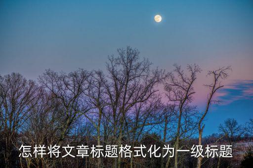 一級標題是什么，什么是一級標題二級標題啊我寫會計學畢業論文遇到的情況
