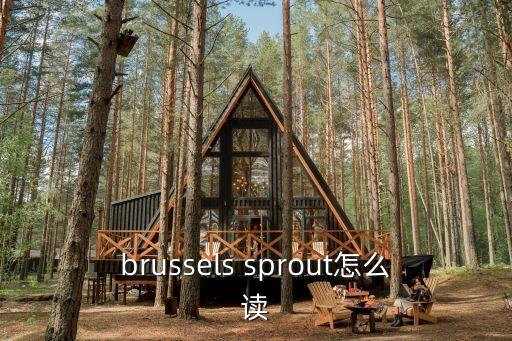 球芽甘藍，brussels sprout怎么讀