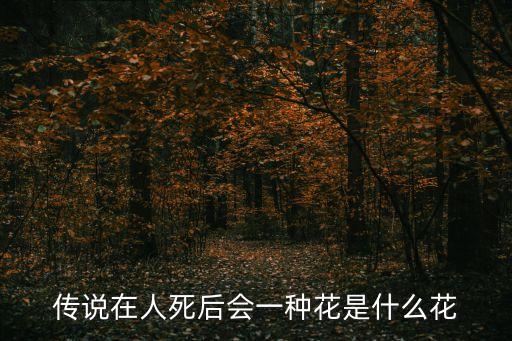 傳說在人死后會一種花是什么花