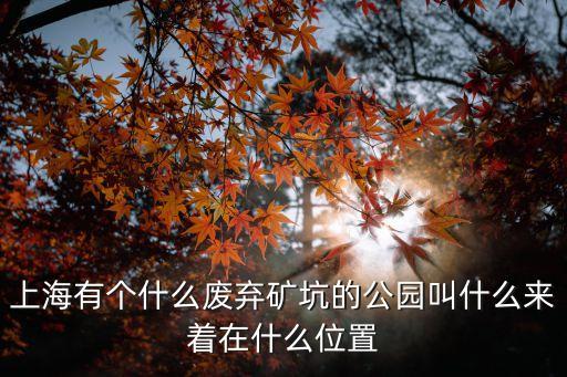 上海市鄱陽公園，上海一共有多少公園啊