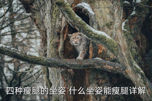 怎么坐著瘦腿，經常坐著如何瘦腿