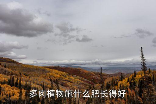 多肉肥料哪種好，請問那種多肉肥料是最好的