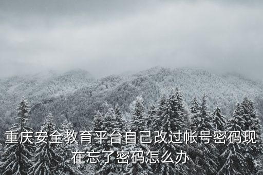重慶安全教育平臺自己改過帳號密碼現在忘了密碼怎么辦