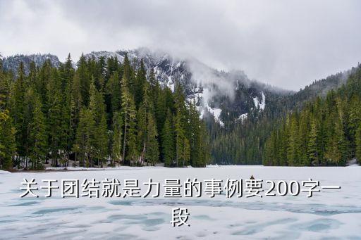 關(guān)于團(tuán)結(jié)就是力量的事例要200字一段