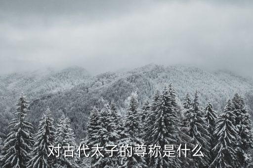 古代太子的尊稱，對古代太子的尊稱是什么