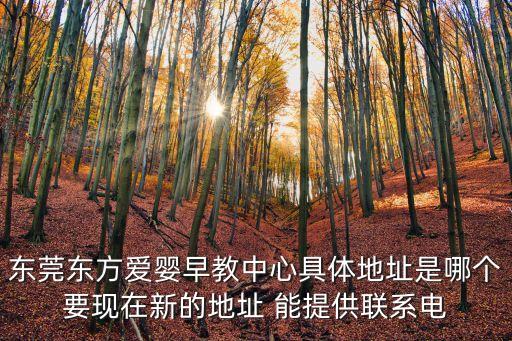 東莞東方愛嬰早教中心具體地址是哪個要現(xiàn)在新的地址 能提供聯(lián)系電