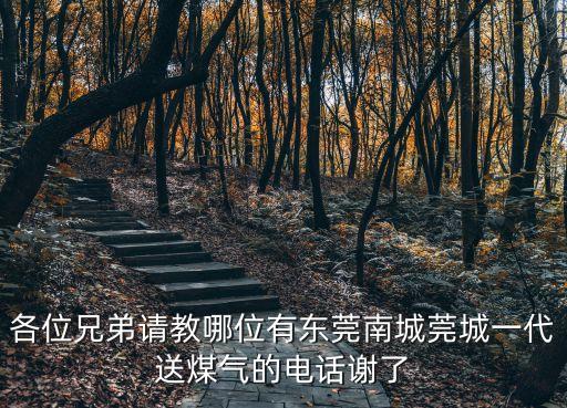 東莞高斷餐煤氣電話，求東莞茶山盧屋充煤氣的電話號碼就是炒菜那種