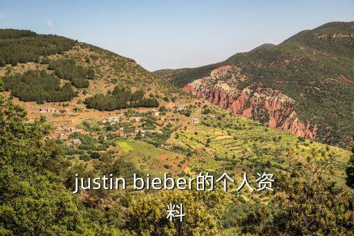 justin bieber的個(gè)人資料