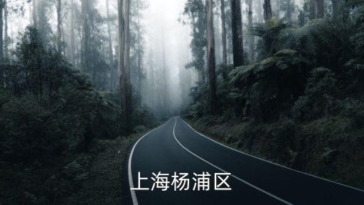 上海楊浦區