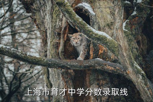 上海市育才中學分數錄取線