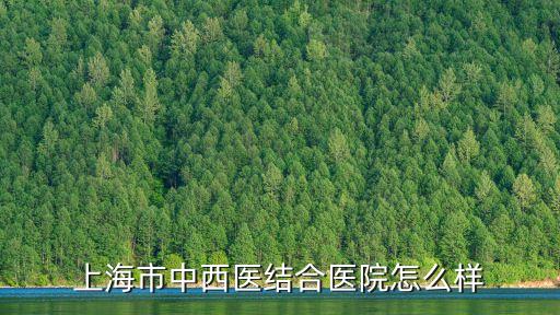 上海市中西醫結合醫院怎么樣