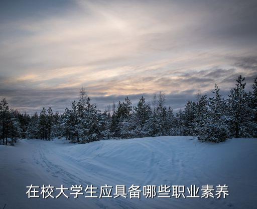 在校大學生應具備哪些職業素養