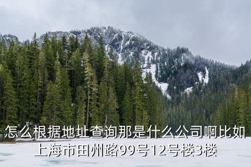 怎么根據地址查詢那是什么公司啊比如上海市田州路99號12號樓3樓