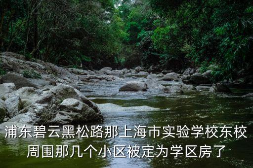 上海市春都路中城苑，上海浦東新區桃源新區中城苑附近的網吧在甚么地方