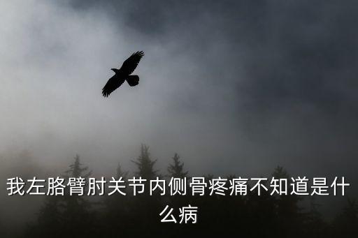 肘關(guān)節(jié)內(nèi)側(cè)疼痛，我左胳臂肘關(guān)節(jié)內(nèi)側(cè)骨疼痛不知道是什么病