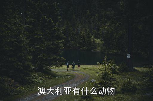 澳大利亞有什么動(dòng)物