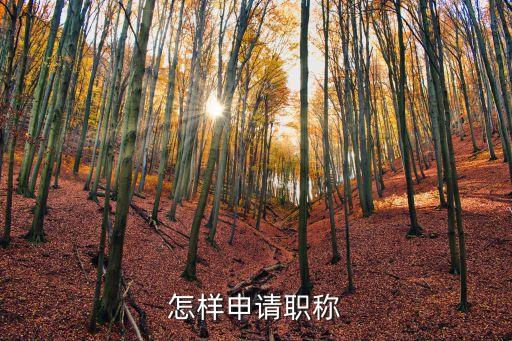 怎樣申請(qǐng)職稱