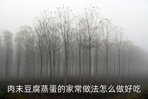 肉末豆腐蒸蛋的家常做法怎么做好吃