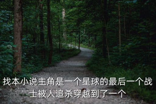 找本小說主角是一個星球的最后一個戰士被人追殺穿越到了一個