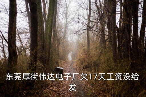 東莞厚街偉達電子廠欠17天工資沒給發
