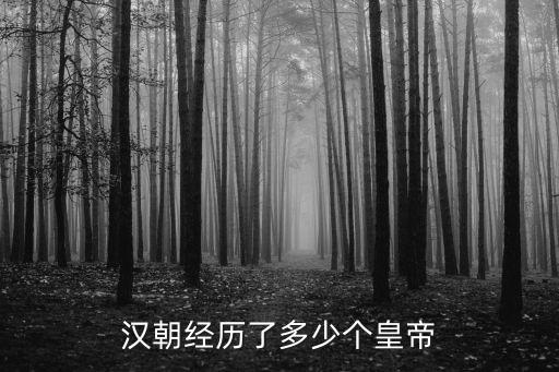 漢朝經(jīng)歷了多少個(gè)皇帝