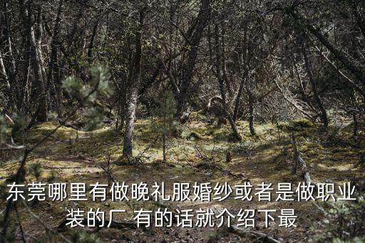 東莞做旗袍專業店，東莞哪里有做晚禮服婚紗或者是做職業裝的廠 有的話就介紹下最