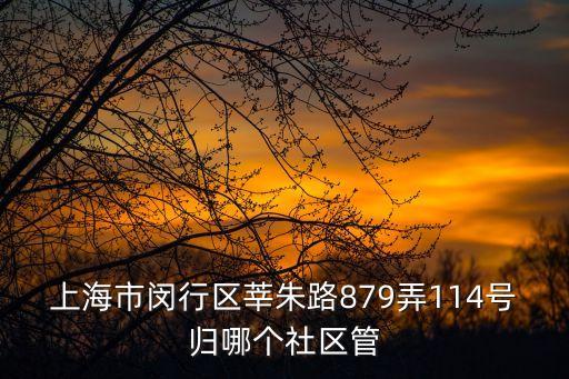 上海市閔行區莘朱路879弄114號歸哪個社區管