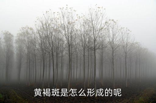 黃褐斑是怎么形成的呢